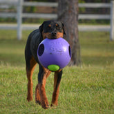 Teaser Ball-Rover Pet Products